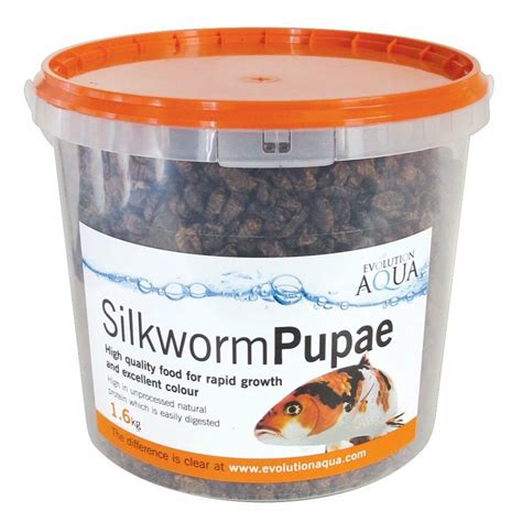 Evolution Aqua Silkworm Pupae Excellent High Protein Treat