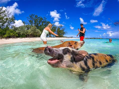 Nassau Excursión en barco a Cayo Sol y Cerdos Nadadores con almuerzo