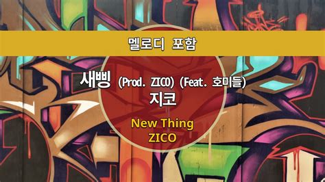 MR노래방ㆍ멜로디 포함 새삥 Prod ZICO Feat 호미들 지코 ㆍNew Thing ZICO ㆍMR