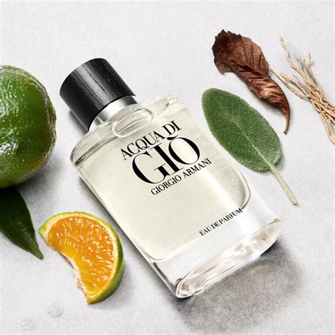 Acqua di Giò pour Homme von Giorgio Armani Eau de Parfum Meinungen