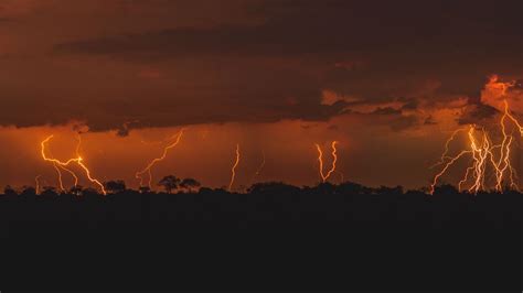 雷暴闪电映黄昏树木深色调色板超高清4K壁纸3840x2160极致画质下载 墨鱼部落格