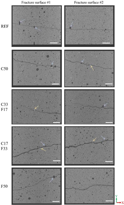 Representative 2D sliced µCT images present crack propagation in