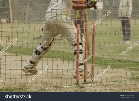 Boy Is Practicing Cricket Batting In Net. Stock Photo 365422346 ...