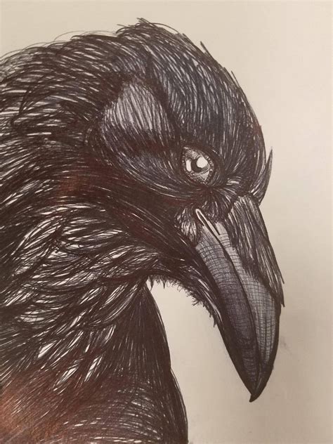 Raven, ink. : Art