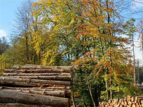 the teutoburg forest in germany 33163845 Stock Photo at Vecteezy