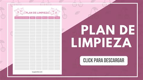 CÓMO CREAR UN PLAN DE LIMPIEZA QUE FUNCIONE PARA TI