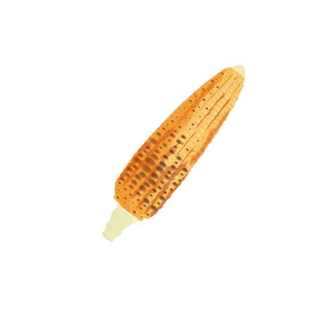 Premium Vector | Roasted corn simple illustration logo on white background