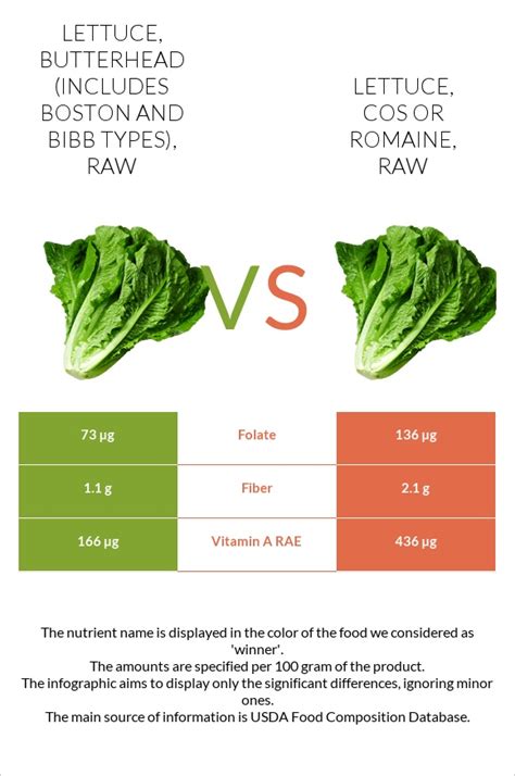 Lettuce Butterhead Includes Boston And Bibb Types Raw Vs Lettuce