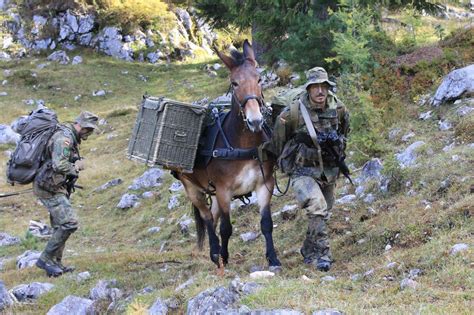 Schneizlreuth Naturschutz Und Bundeswehr Auf Der Reiteralpe