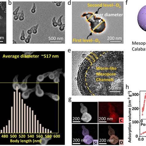 Calabash Like Mesoporous Silica Nanoparticles A SEM B D E TEM And C