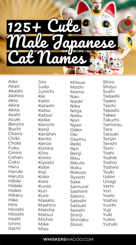 Tổng Hợp Cute Cats Names Male Cho Mèo đực đáng Yêu Của Bạn