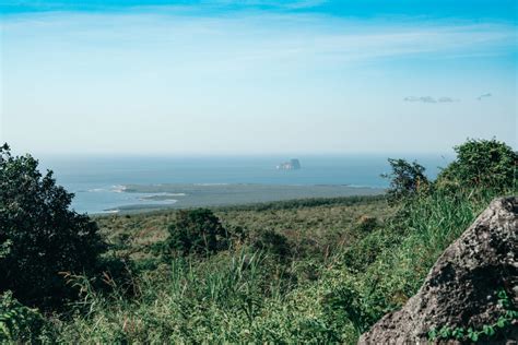 Best Time To Visit The Galapagos Islands: Month By Month Breakdown ...