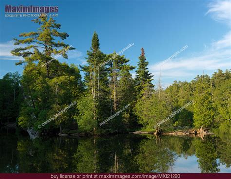 Ontario Nature Scenery. Stock Photo MXI21220