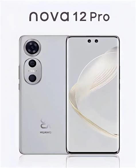 Alleged Huawei Nova 12 Pro Render Appears To Reveal Unique Dual Punch