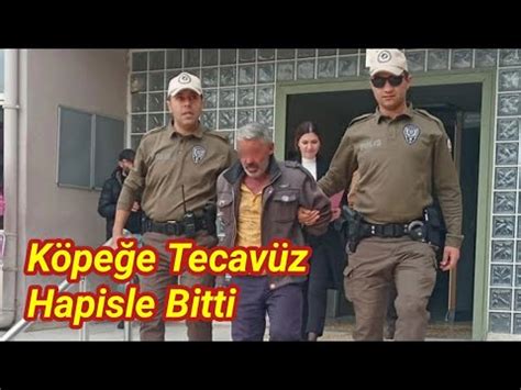 Aydın da bir köpeğe tecavüz eden 56 yaşındaki erkek tutuklandı YouTube