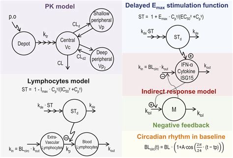 Population Pharmacokinetic Pharmacodynamic Models Of JNJ 64794964 A