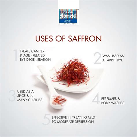 Growing Saffron Using Aeroponics Steps To Follow Artofit