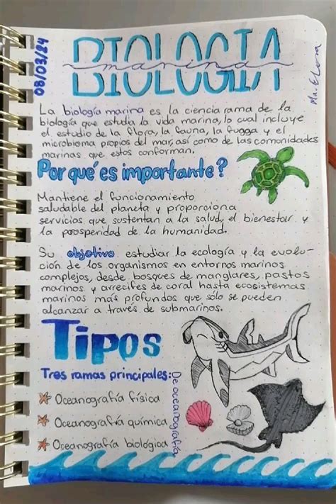 Biología Marina 🐋 In 2024 Marine Biology Biology Notes Oceanography Marine Biology