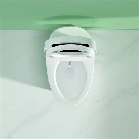 Wall Mounted High Quality Inodoro Ceramic S Trap Siphonic Toilet