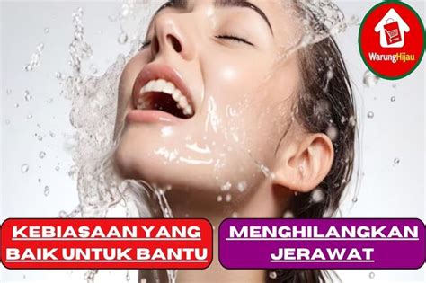 Warunghijau Kebiasaan Yang Baik Untuk Bantu Menghilangkan Jerawat