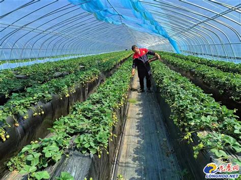 江苏工会服务网 产改试点 校企农共建 产学研融合 南京溧水金色庄园打造农业“双创”升级版