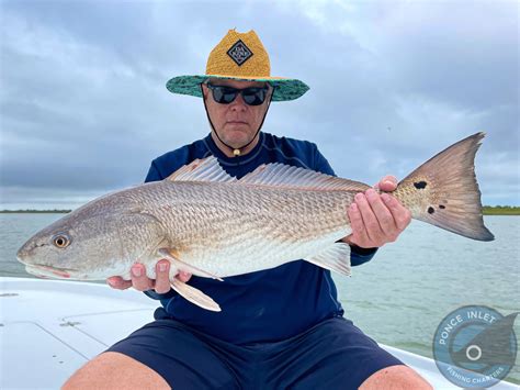 New Smyrna Beach Fishing Report New Smyrna Beach Fishing Charters