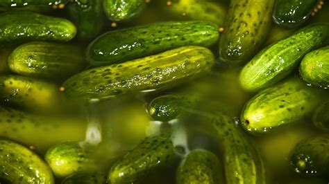 The Juicy 4000‑year History Of Pickles History