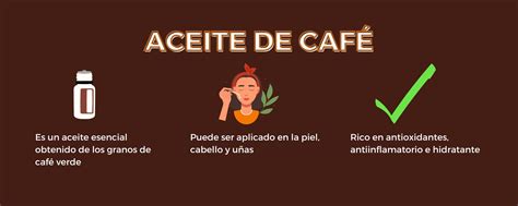 Qué es el Aceite de Café y cuáles son sus beneficios CaféCafeteras