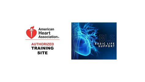 Aha Basic Life Support Bls Certification