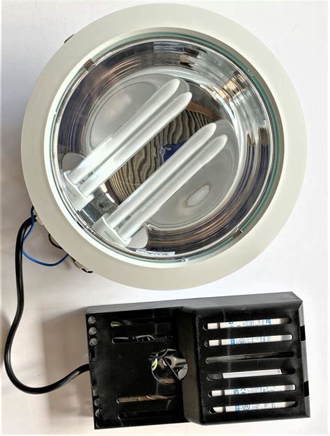 Downlight Luminaire With 2x26 W Compact Fluorescent Lamps Lightshop