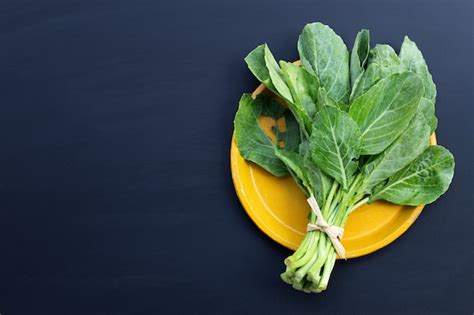 Hojas De Berza Verde Con Agujeros Devoradas Por Plagas Vegetales