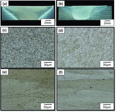 Optical Micrographs Showing A B Macro Views Of The Cross Section