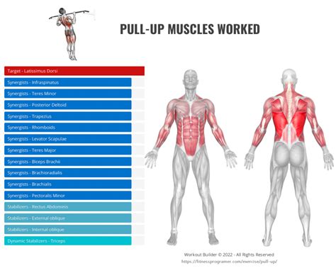 The Complete Guide To Pull-up » 12 Best Pull-up Variations