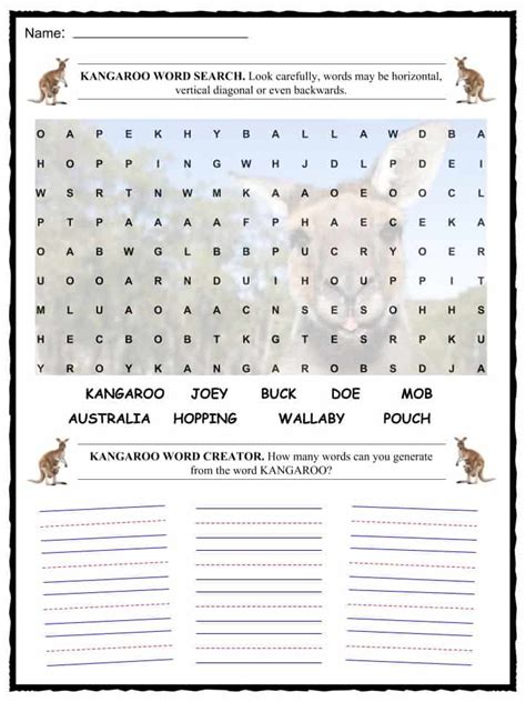 Kangaroo Facts Worksheets Habitat Species And Diet For Kids