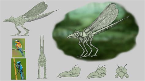 Artstation Creature Design Esodonata Draconis Academy Practice