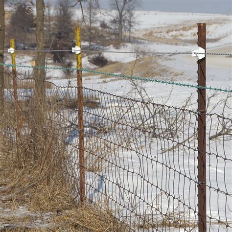 Electric Fence And Netting For Sheep Premier Supplies