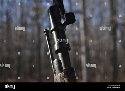 Mosin Nagant Rifle Gun at a Shooting Range Stock Photo - Alamy