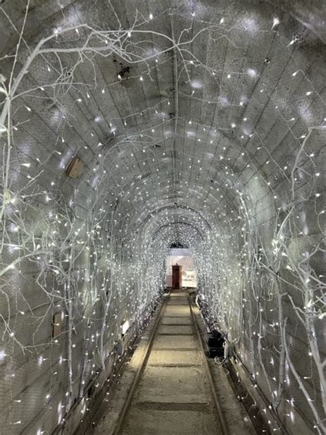 The Tunnel of Lights at Charlestown Shipwreck Heritage Centre - Access ...