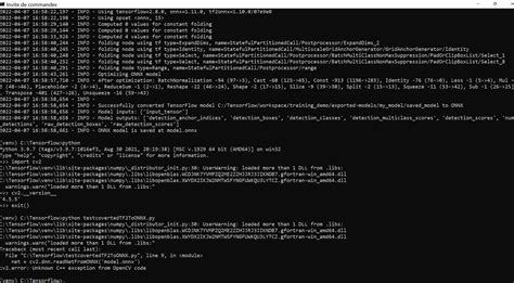 Loading Onnx Model Generated From Tensorflow2 Saved Model By Tf2onnx