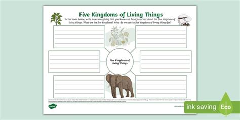 Five Kingdoms Of Living Things Mind Map Teacher Made Worksheets Library