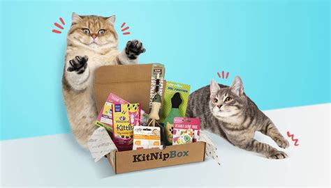 Cat Monthly Subscriptions of Fun Catnip Toys, Treats & More | KitNipBox