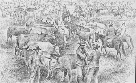 FEIRA DE GADO Illustration By Percy Lau A Cattle Auction In Brazil