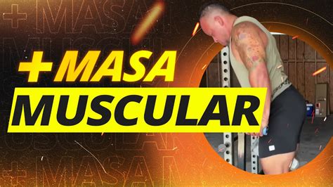 Los únicos 4 Ejercicios Que Necesitas Para Ganar Masa Muscular Youtube