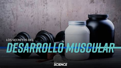 Nutrición deportiva Whey Protein Cursos DNA