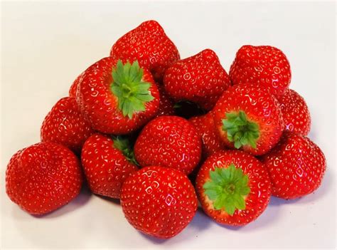 Strawberries: The Best Varieties Of The Season According To Professionals - Best Landscape Ideas