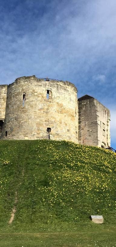 york city walls  jauntly