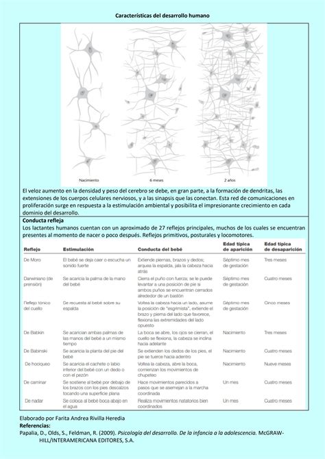 Solution Matriz De Caracter Sticas Del Desarrollo Infantil Adolescente