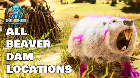 Where To Find All Beaver Damns On Center Map Ark Survival Ascended