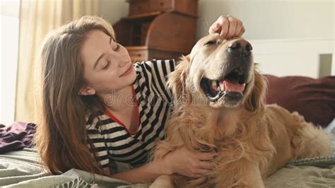 Linda Chica Con Perro Recuperador De Oro En La Cama Metrajes Vídeo de