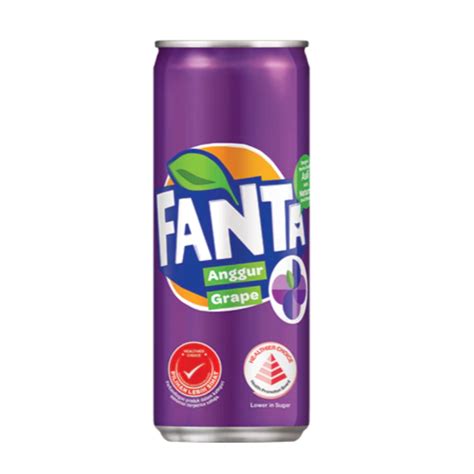 Coca Cola Fanta Grape 300ml